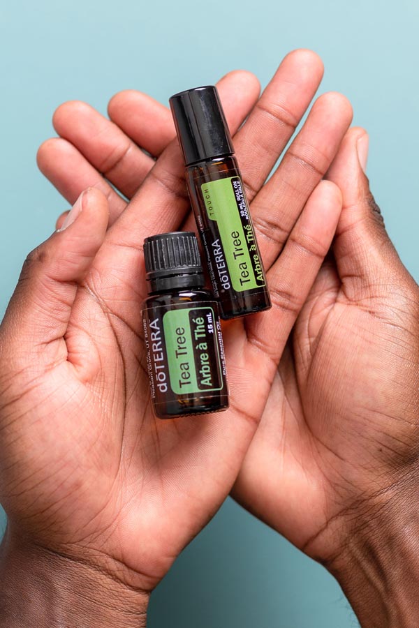 Huile dōTERRA Touch® arbre à thé  Melaleuca alternifolia