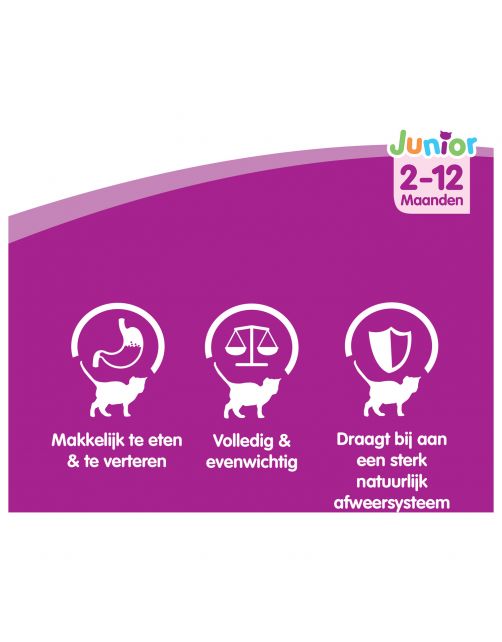 Whiskas Casserole Junior - Kattenvoer - Vis Gelei 85 g