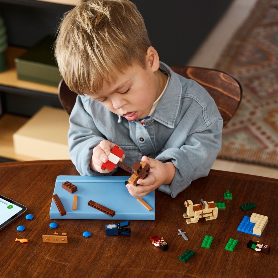 LEGO Minecraft - Piratskibsrejsen (21259)