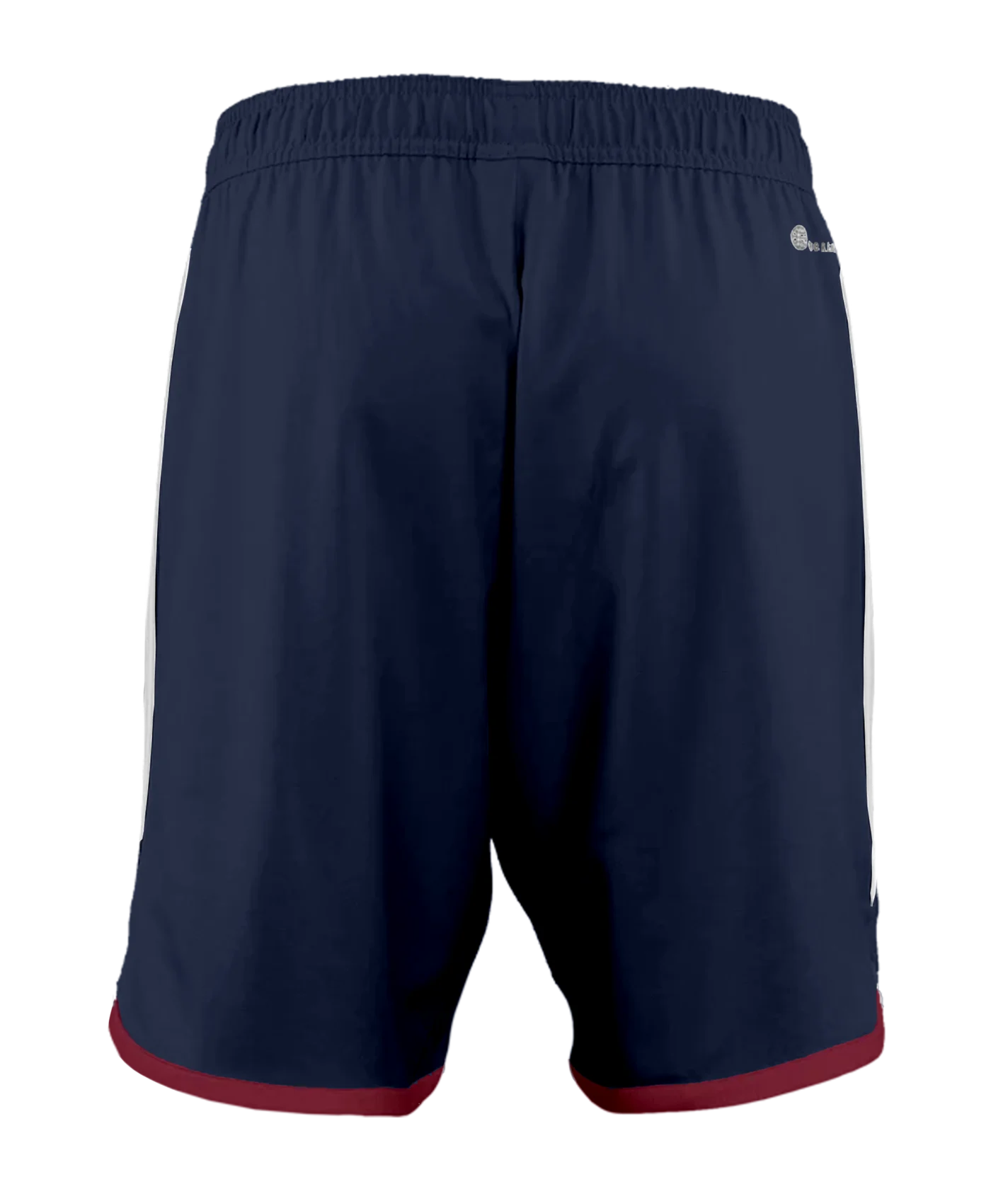 adidas Fortuna Düsseldorf Short 3rd 2023/2024 Blau
