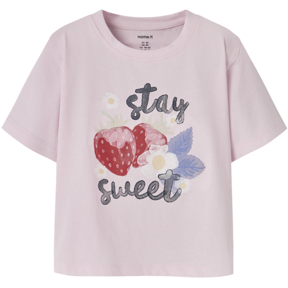 Køb Name It Cradle Pink Nmfjonali Ss Nreg Top