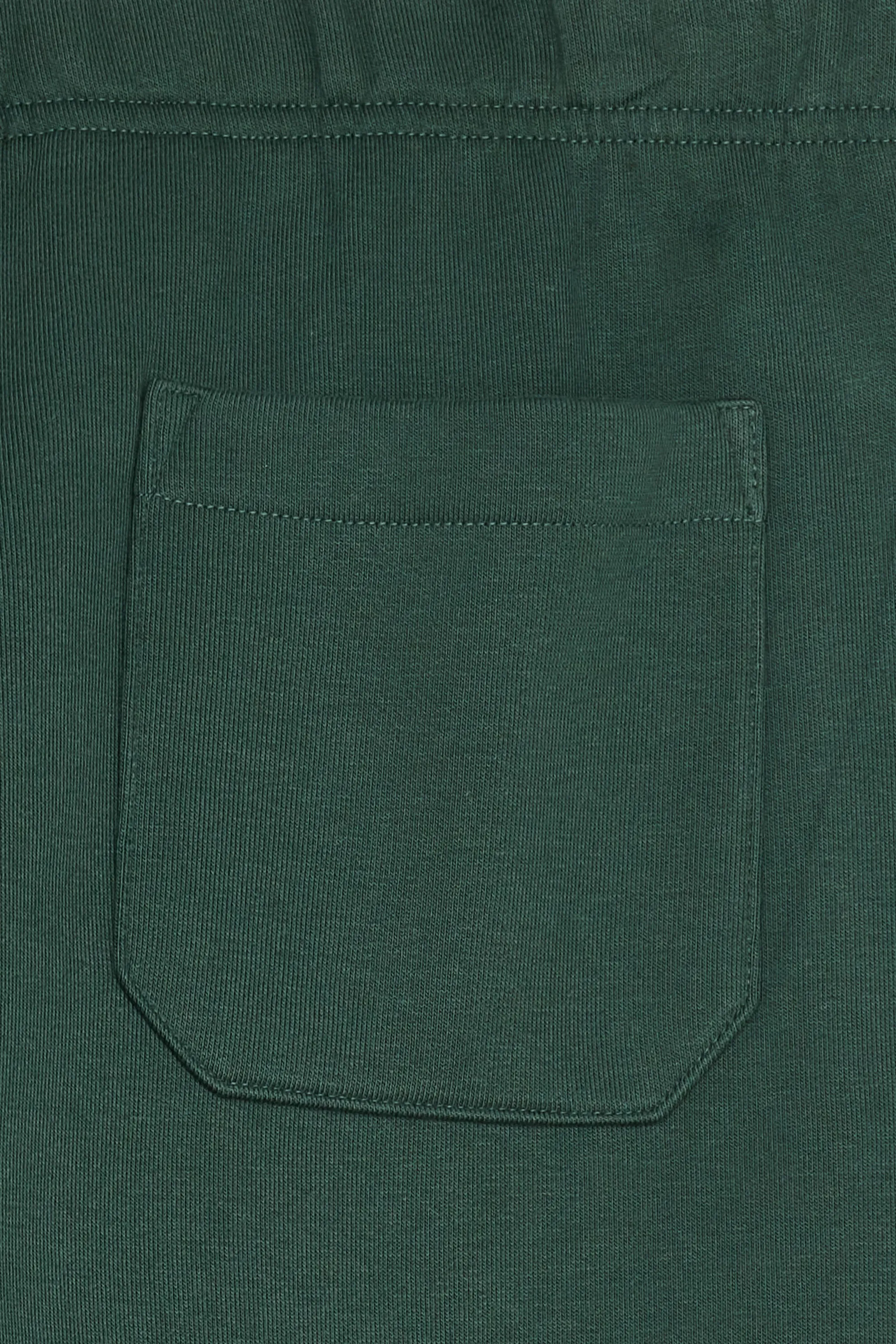 CARHARTT WIP Jogging CHASE Vert