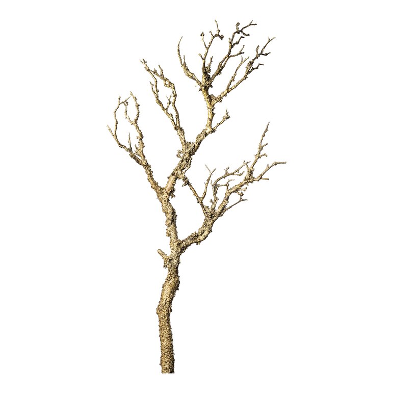 braun, L 75 cm