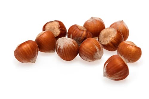 Haselnüsse