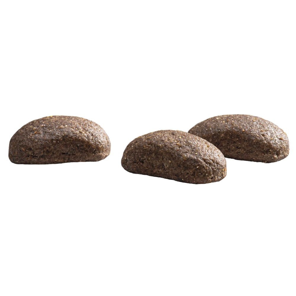 Prins Protection Croque Hypoallergeen Lam Hondenvoer 2 kg