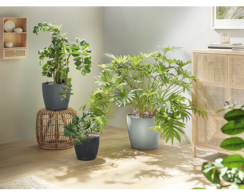 Lechuza Classio Eco plantenbak van 100% gerecycled kunststof, Ø 60 cm, donkergrijs, inclusief zelfbewateringssysteem