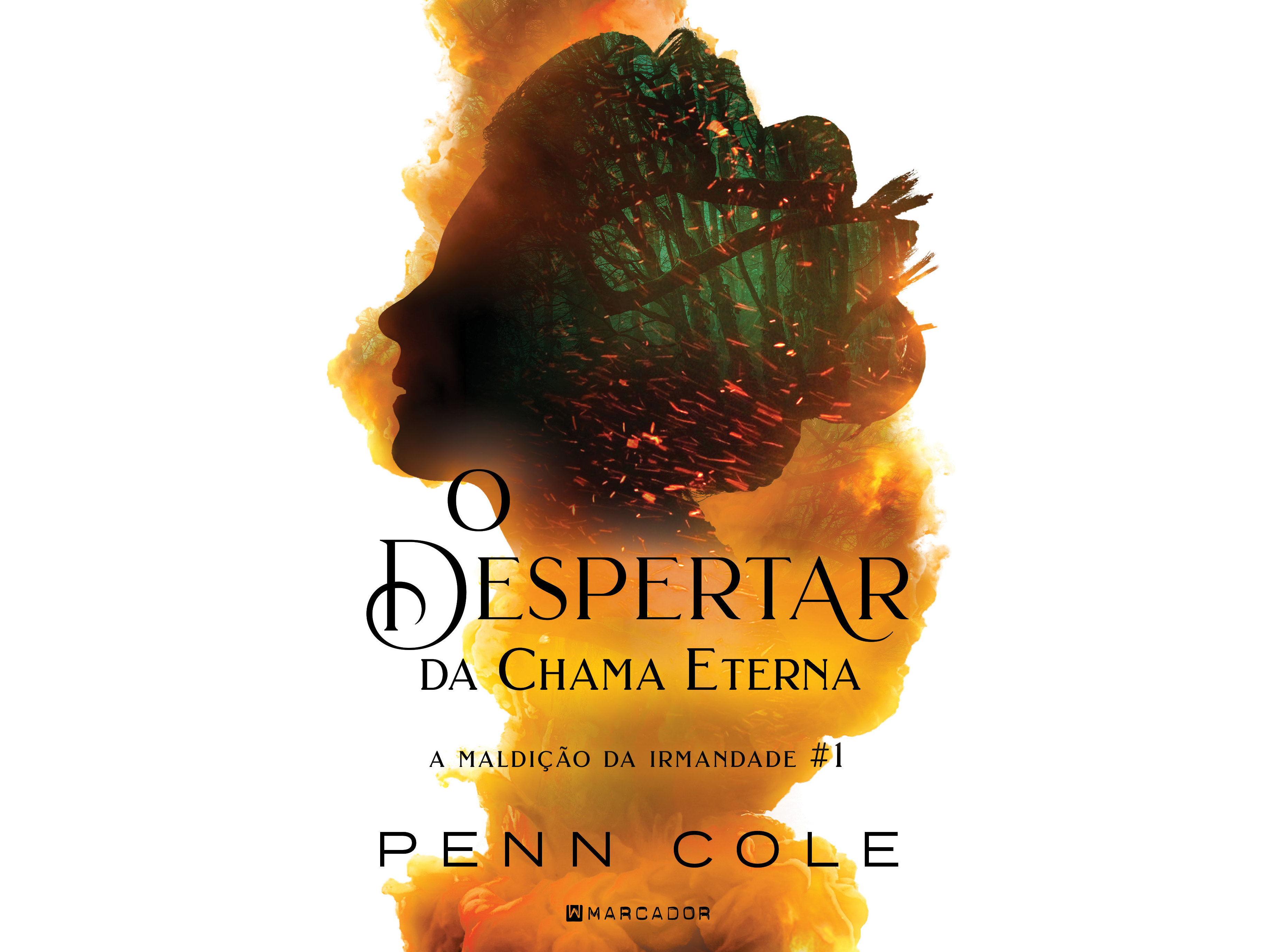 LIVRO DESPERTAR CHAMA ETERNA DE PENN COLE