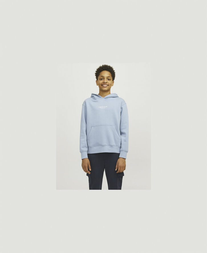 Jack & Jones JORVESTERBRO SWEAT HOOD NOOS JNR Mountain spring/loose
