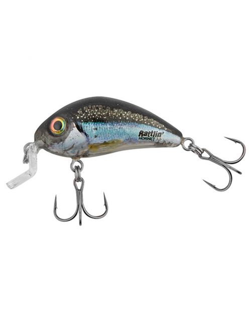 Salmo Rattlin Hornet Shallow Runner 3.5cm Clear Holo Smelt - Plug -