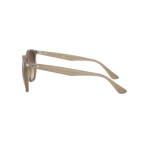 Ray Ban RB4306 Solbriller, Brun