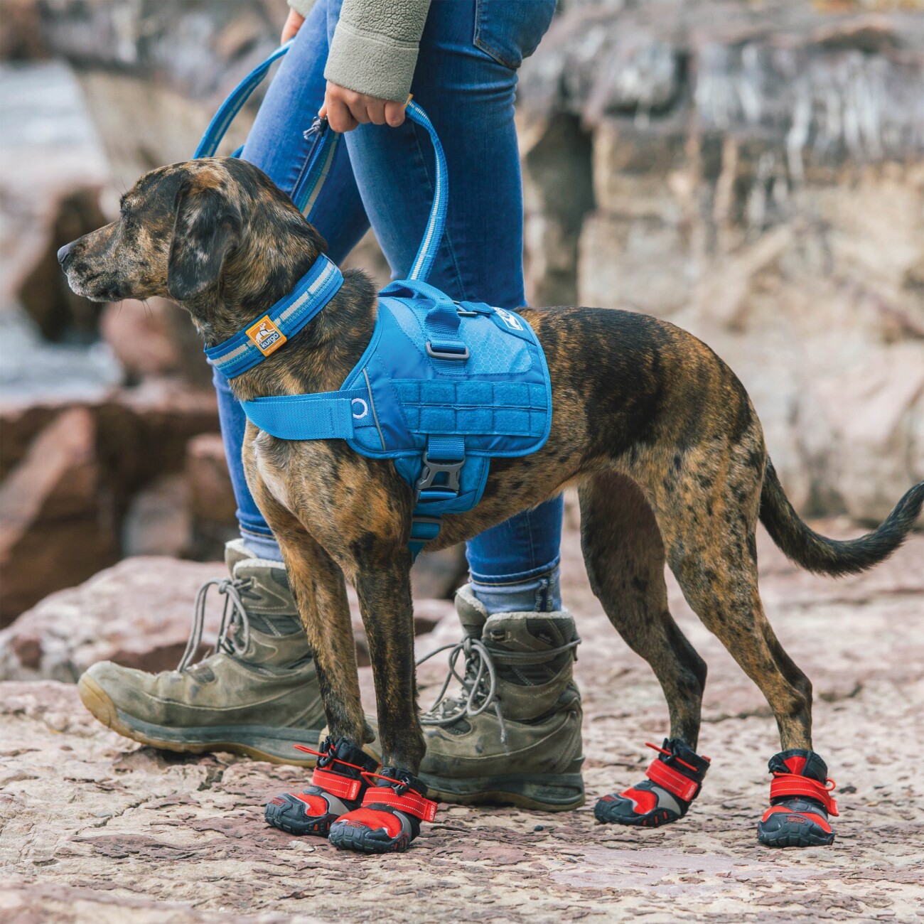 Kurgo RSG Townie Hundegeschirr blau S