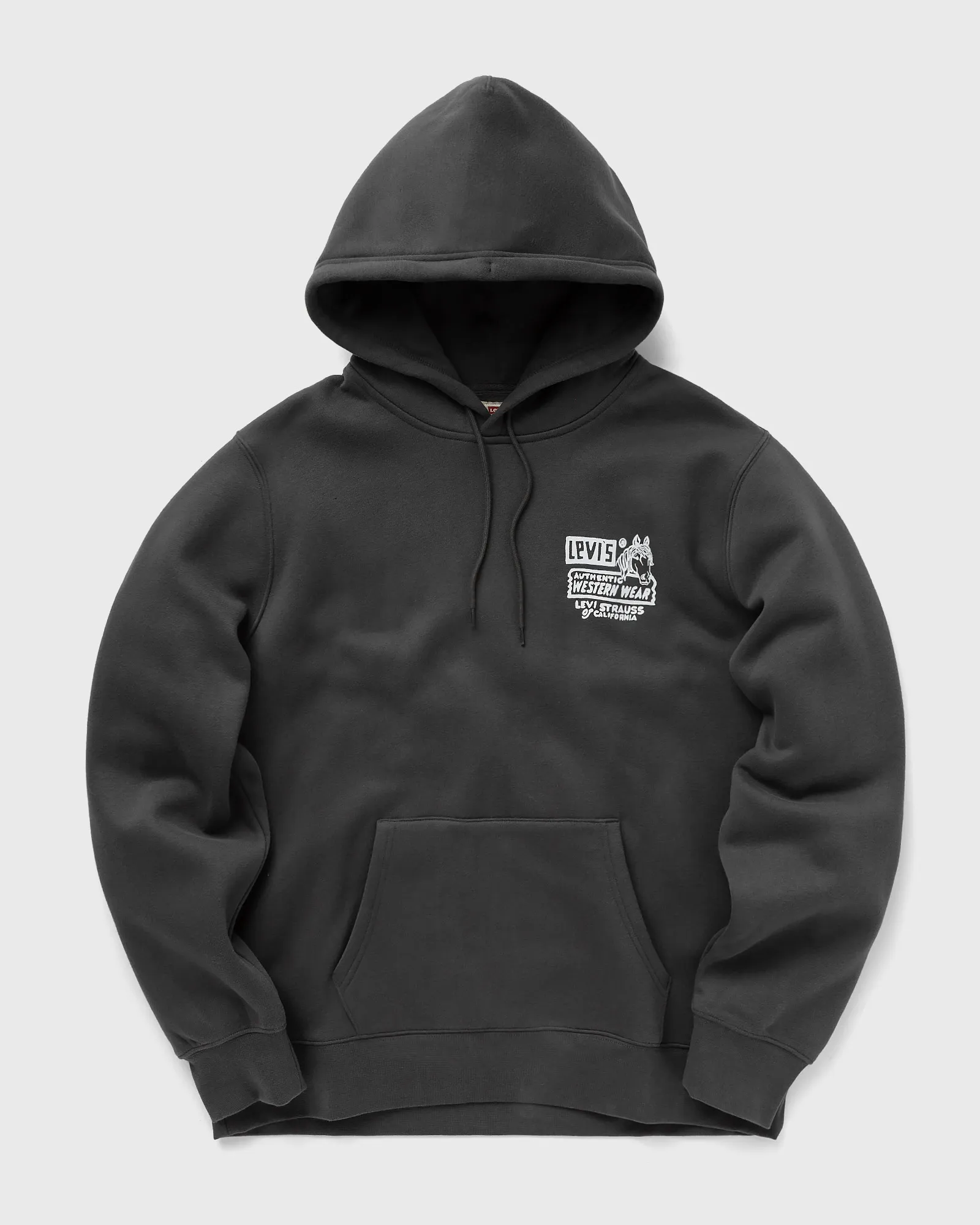 Levis STANDARD GRAPHIC HOODIE