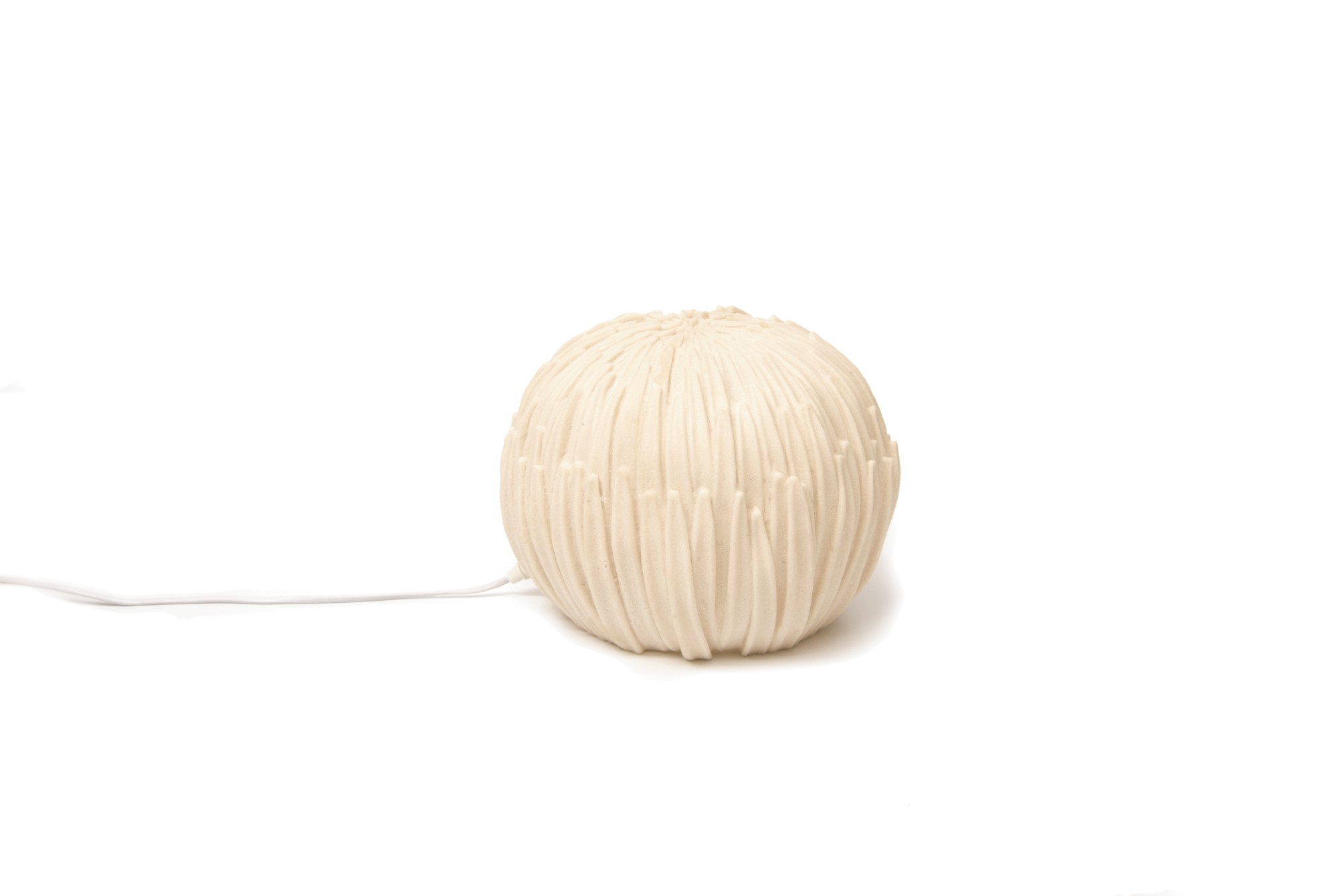Indoor-Leuchte 'Schilfgras', B 30 cm, H 23 cm von fischer's lagerhaus
