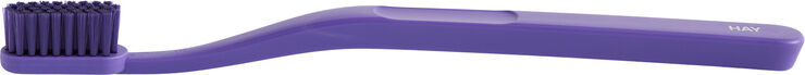 Hay Tann Toothbrush-Purple Purple