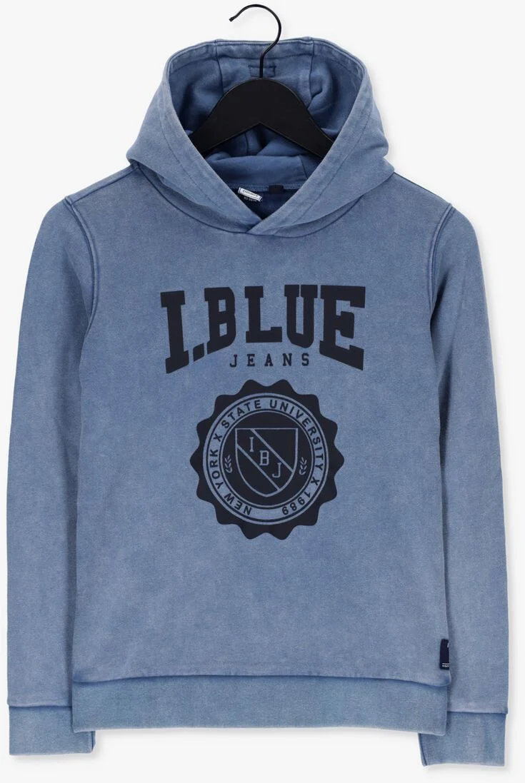 INDIAN BLUE JEANS grijze indian blue jeans trui hooded college