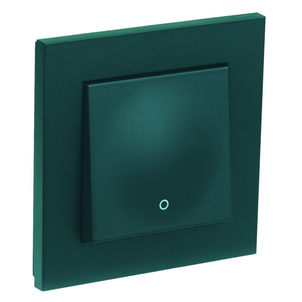 BRYTER ELKO PLUS 2-POL 2 POLET BRYTER