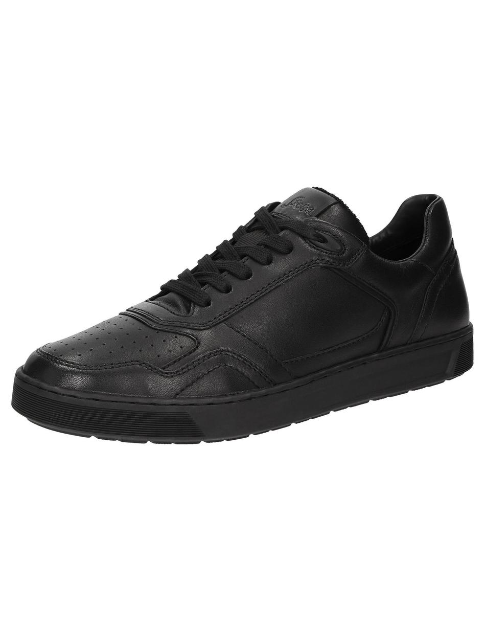 Sneaker Tedroso-704