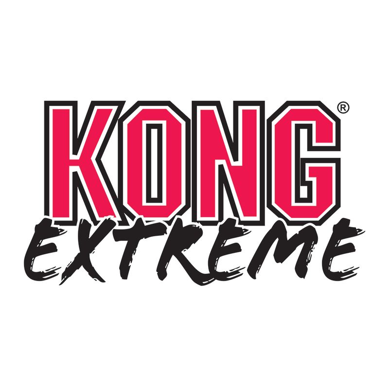 Balle KONG Extreme