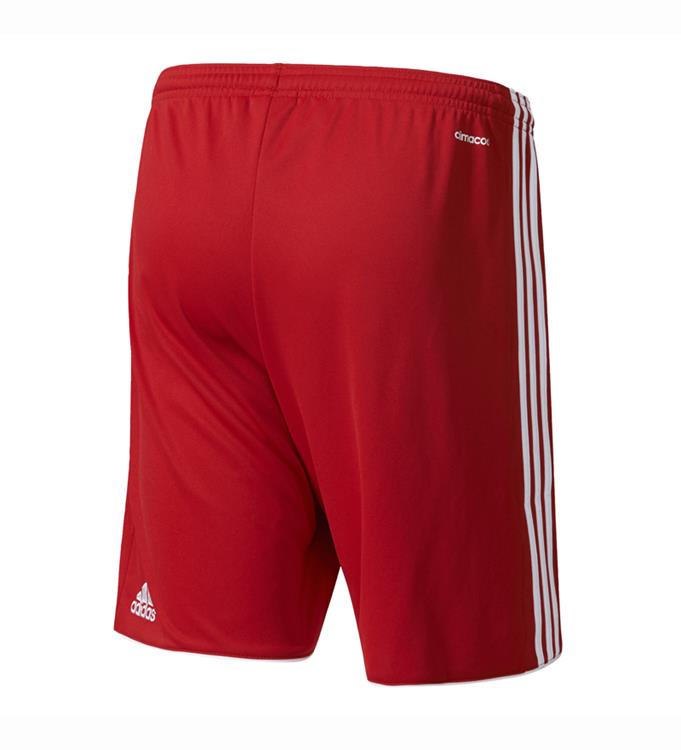 adidas TASTIGO17 SHO