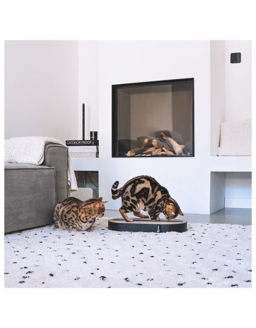 District 70 Track - Kattenspeelgoed - 52x26x6 cm Zwart
