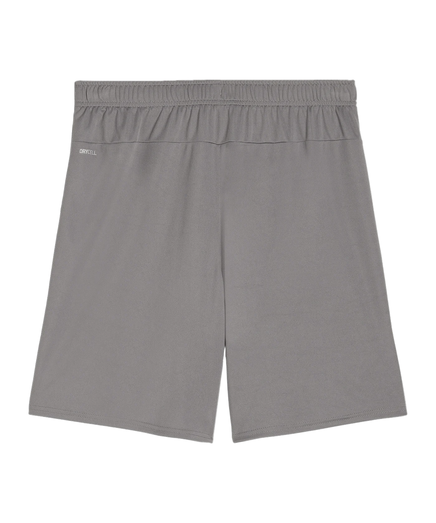 PUMA teamGOAL Short Grau Weiss F13
