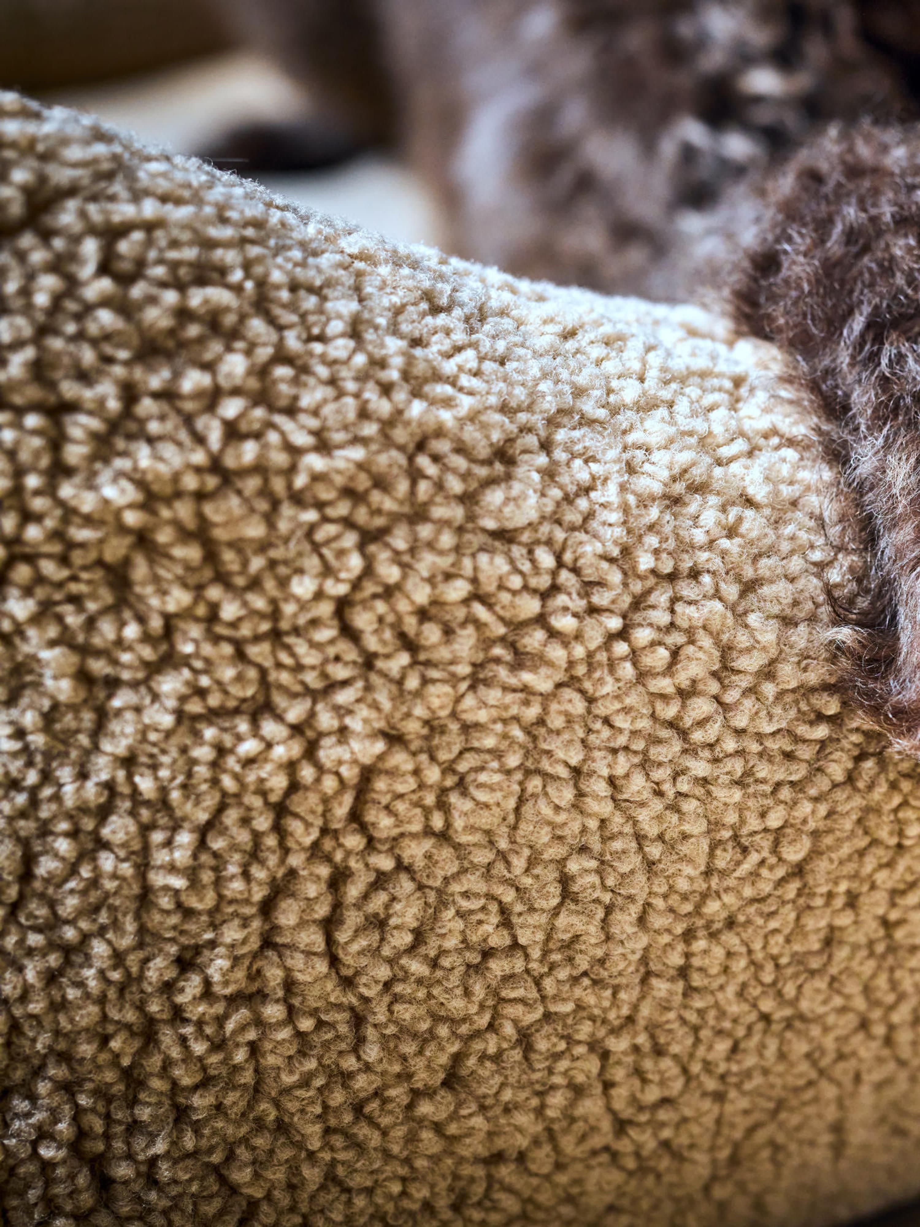 Bouclé hondenmand Teddy, verschillende formaten