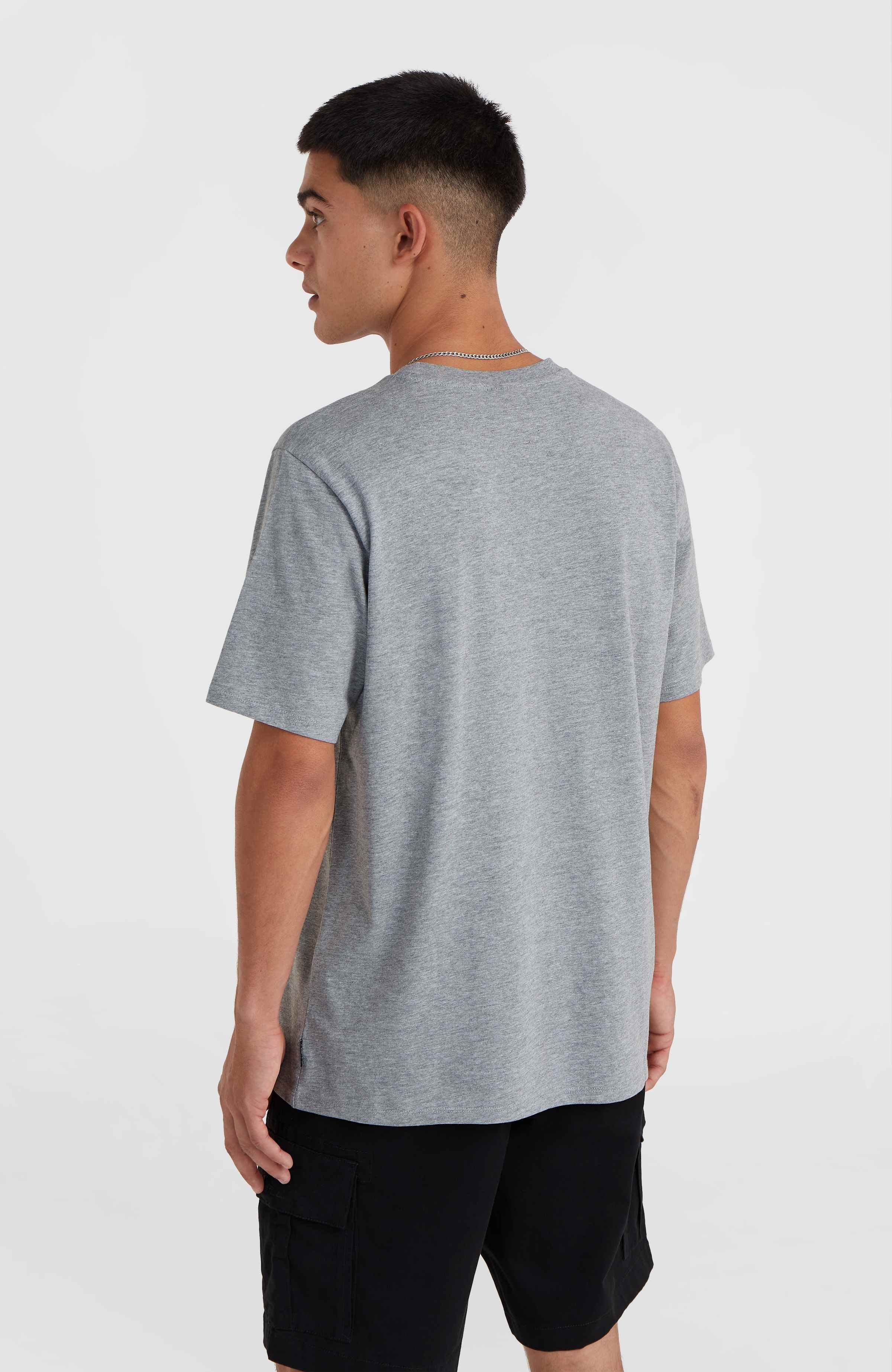 Small Logo T-shirt O`Neill Grijs