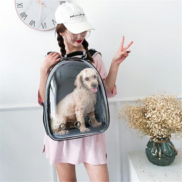 Black Cat Dog Bag Ryggsekk Bæreveske