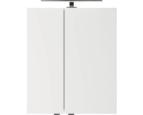 Pelipal Xpressline 4035 spiegelkast, 60 x 14,5 x 70,3 cm, wit, 2-deurs, LED, IP44
