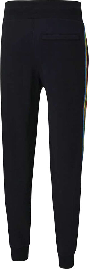 Puma TFS Worldhood Track bukser Sort