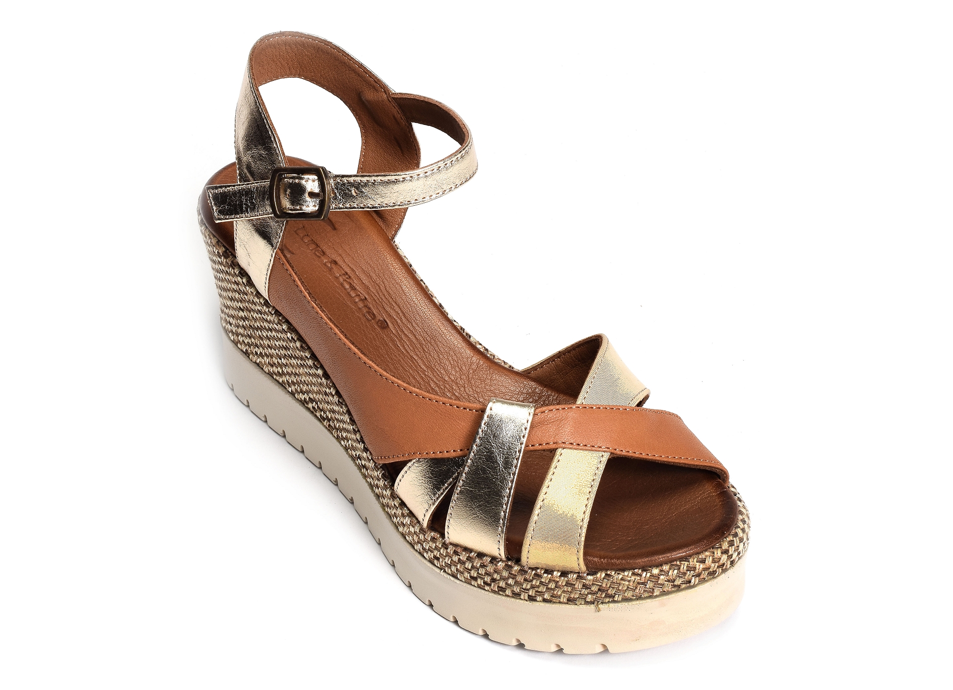 Caroline camel or