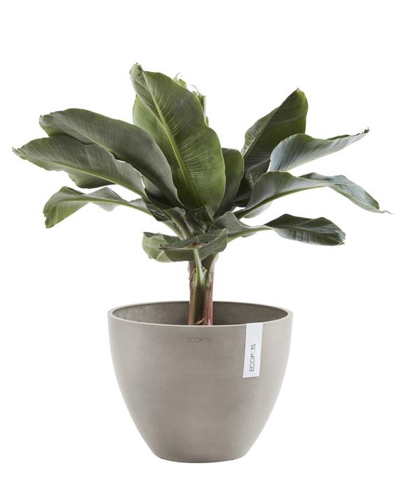 Ecopots Kunststoff-Topf Antwerp, rund