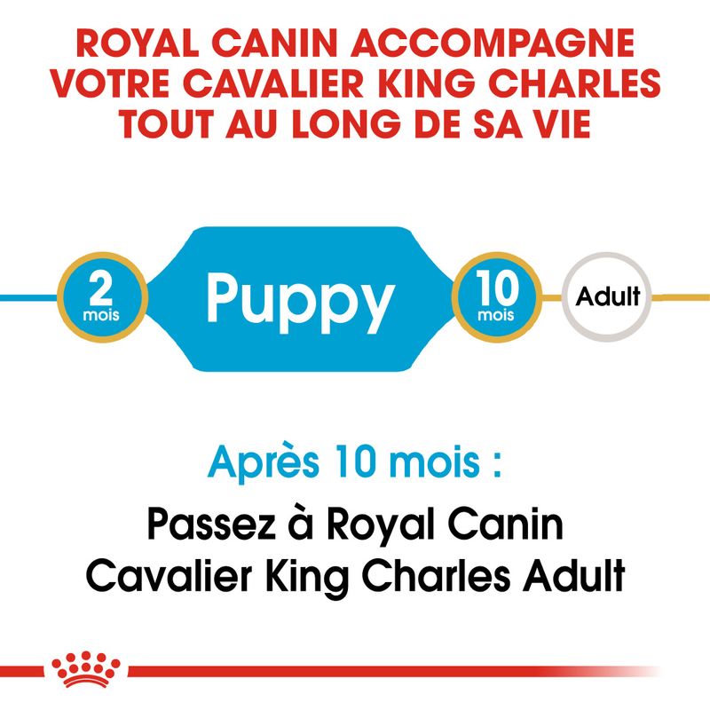 Royal Canin Cavalier King Charles Puppy