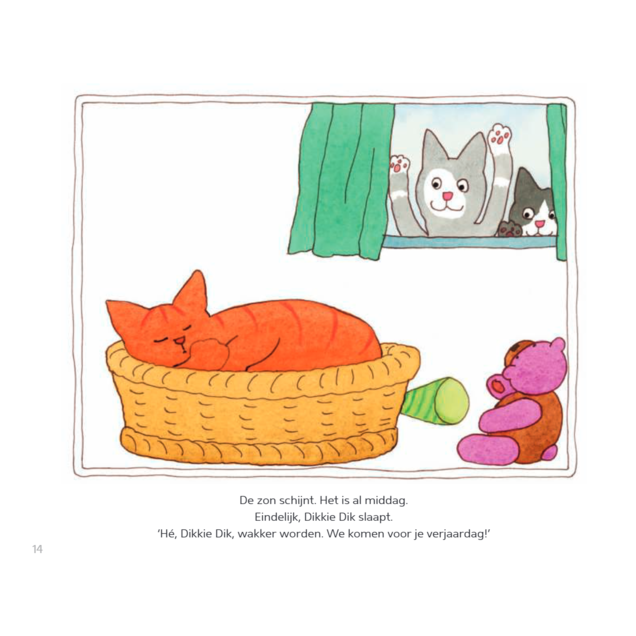 Kinderboek | Dikkie Dik | Het grote avonturenboek