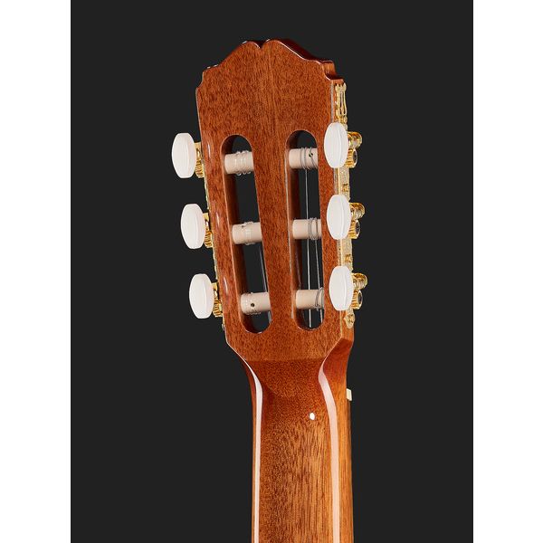 Takamine GC5CE Natur w/Bag