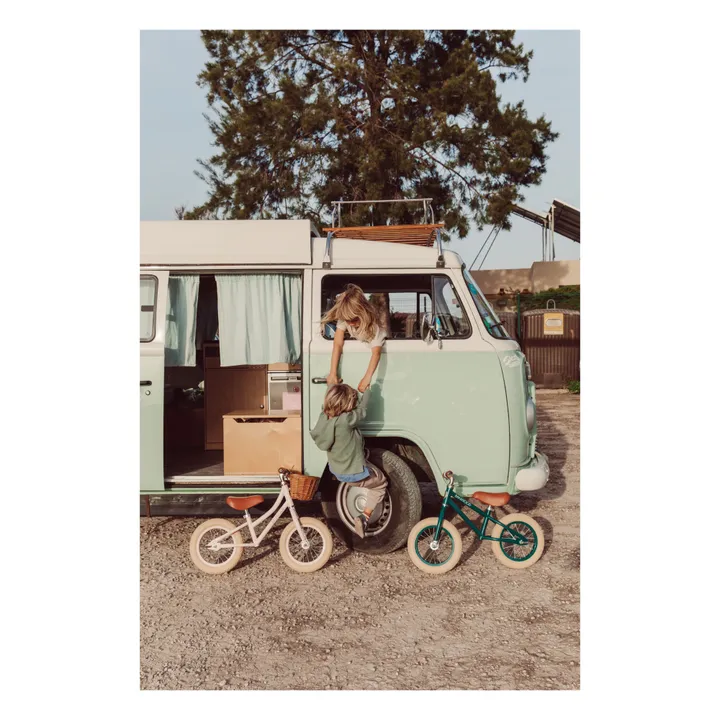 Banwood Draisienne First Go 12