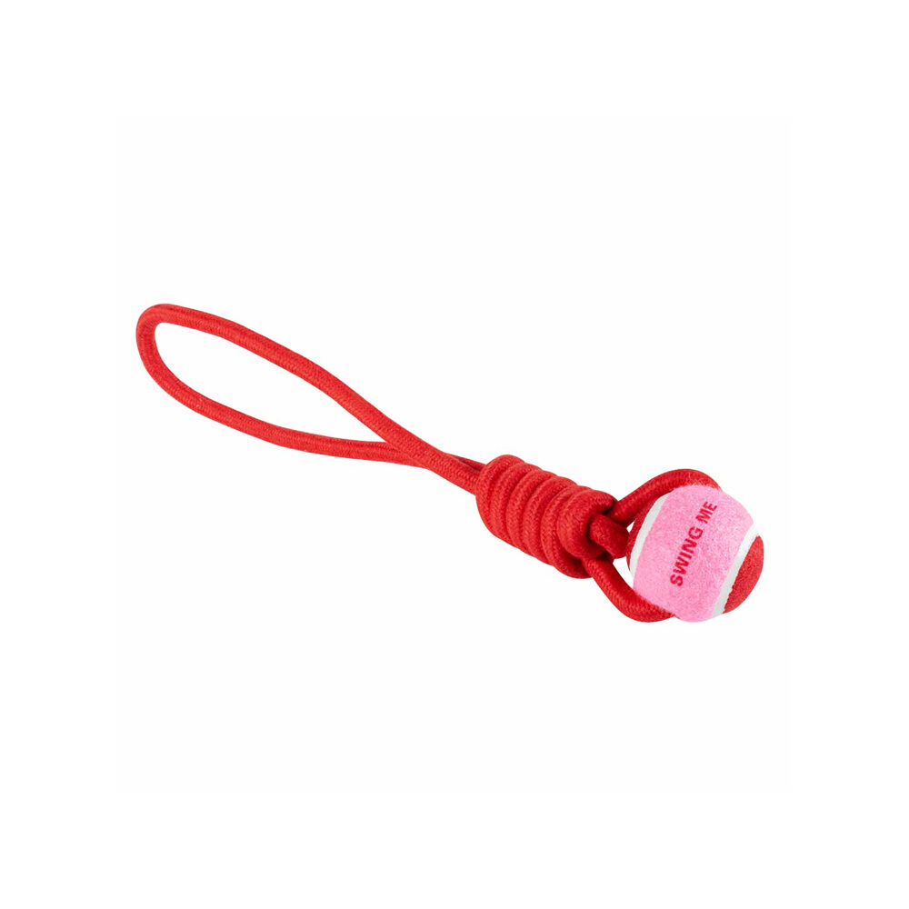Coockoo Swing/Throw Me Bal met Touwlus