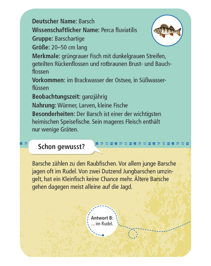 50 heimische Strandtiere & Pflanzen entdecken & bestimmen