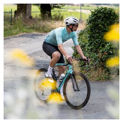 Maillot Signature Marinière Vert - Chef de File