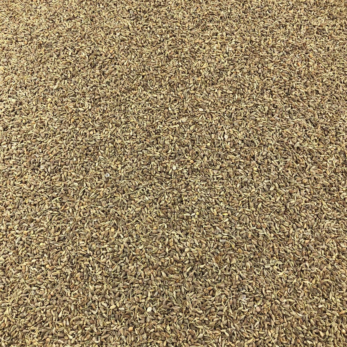 Anis Vert Graines Bio en Vrac 1kg Vrac Bio