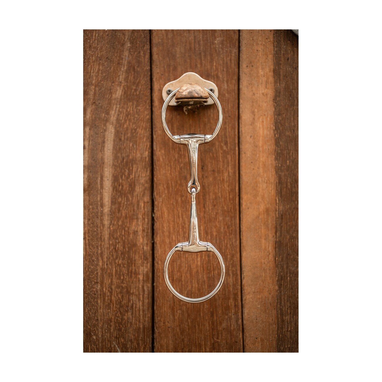 Equinate Olivenkopfgebiss Edelstahl 16mm einfach gebrochen 1,6 cm 15,5 cm