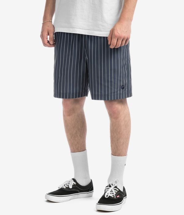 Carhartt WIP Slater Swim Boardshorts (cason stripe vertical blue)