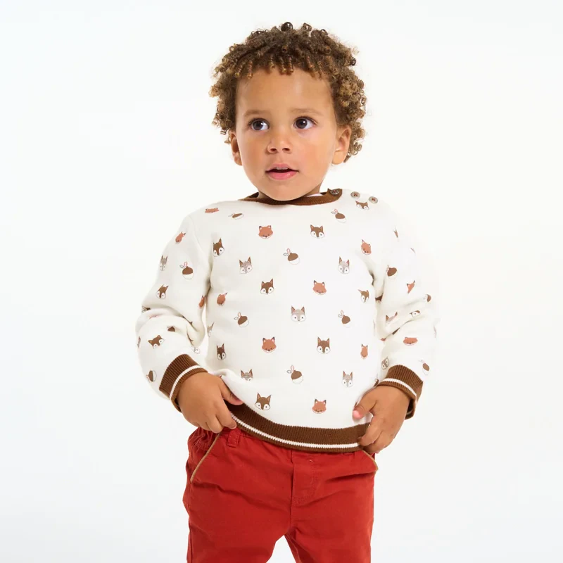 Pull épais maille tricot imprimé animaux blanc bébé garçon Blanc