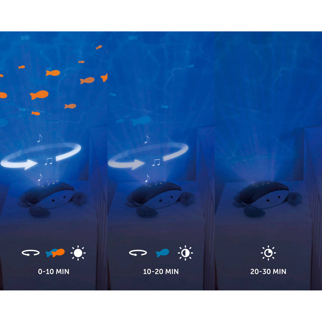 Leuk!Cody Ocean Projector