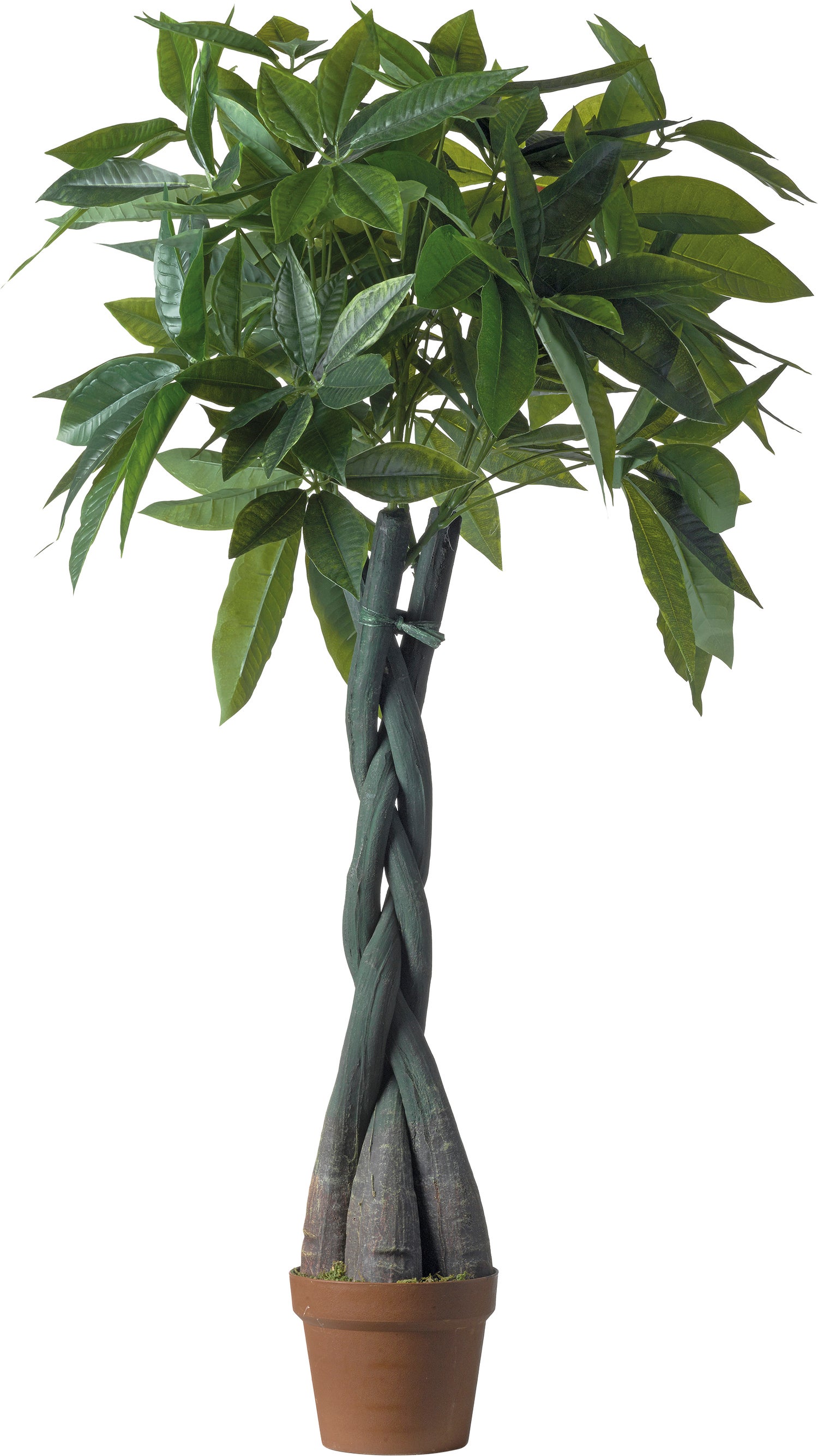 Intratuin kunstplant Pachira H 120 cm
