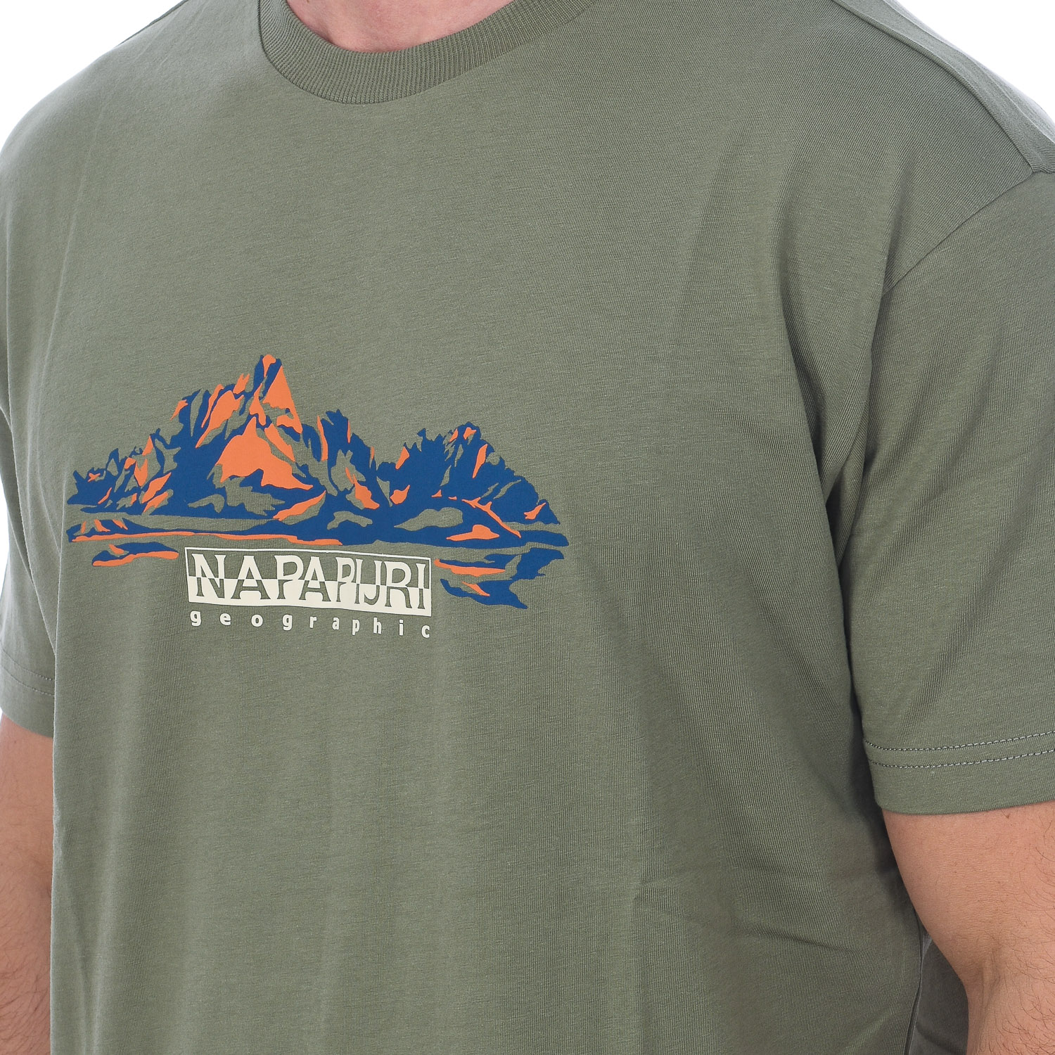 Camiseta S-backcountry Ss Np0a4gm1