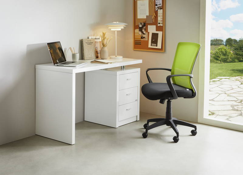 Carryhome Drehstuhl PAN
