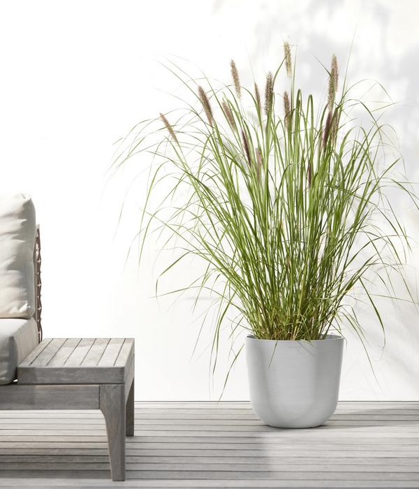 Ecopots Kunststoff-Topf Oslo mit Wassersystem,