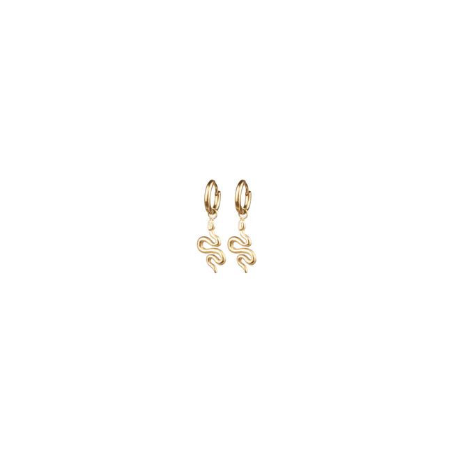 BiSjU Jewellery Oorbellen Ronde Ringen Silver Plated