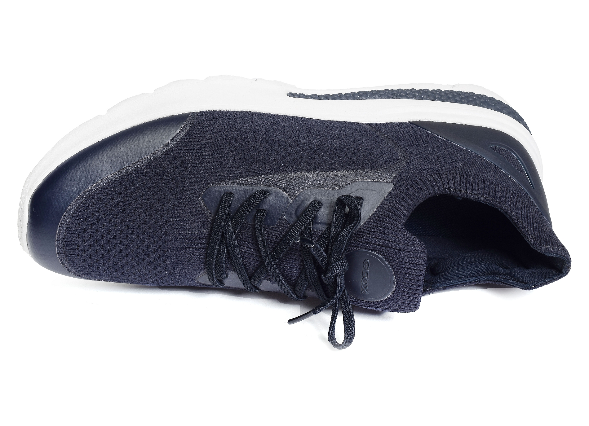 U spherica actif a marine